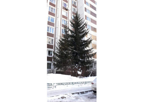 Продам 2-комн. квартиру 56.2 кв.м.