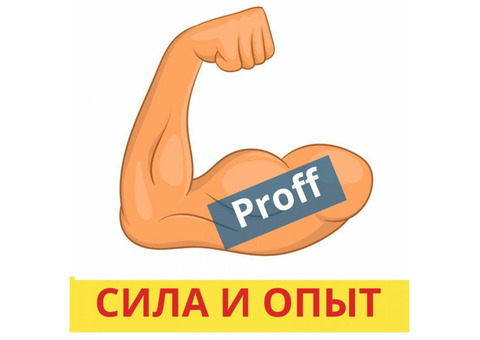 Опытные грузчики. Вывоз строй. мусора. Кисловодск.