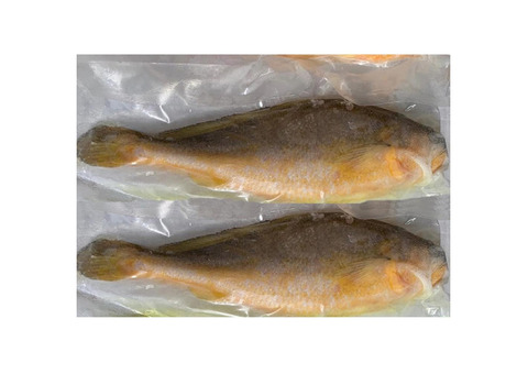 Freshly Frozen Yellow Croaker Fish