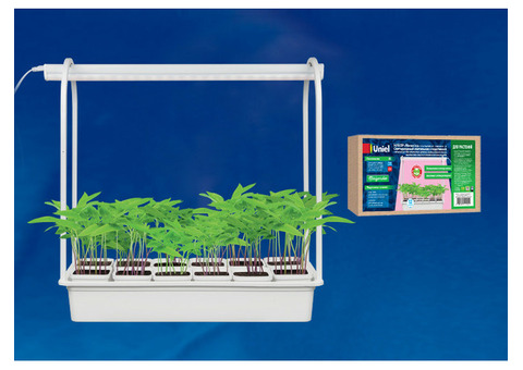 Светильник светодиодный Uniel ULT-P34-10W/SPLE IP40 White 12 набор Минисад с подставкой для растений