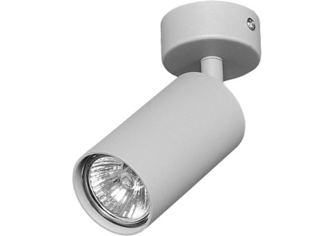 Спот Arte Lamp Aquarius A3216PL-1GY