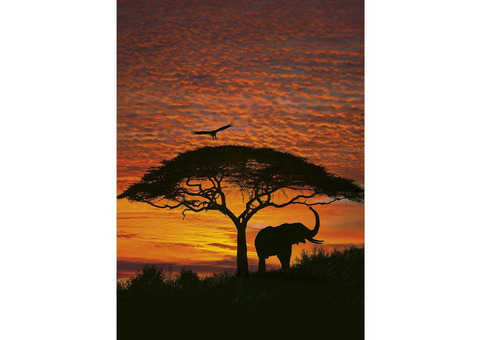 Фотообои бумажные Komar African Sunset 4-501 1,94х2,70 м