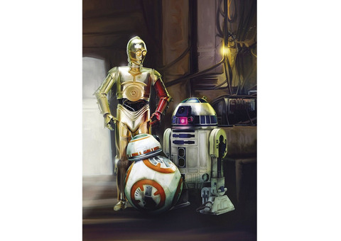 Фотообои бумажные Komar Star Wars Three Droids 4-447 1,84x2,54 м