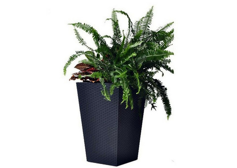 Кашпо для цветов Keter Rattan Planter L 535х535х735 мм Антрацит