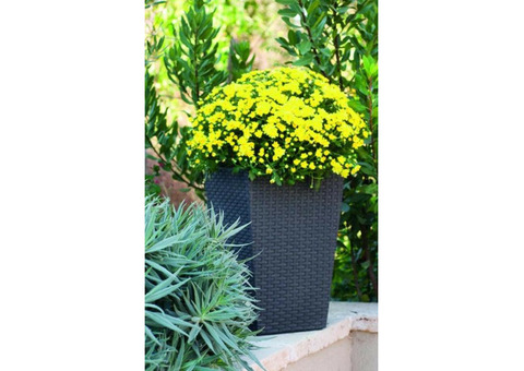 Кашпо для цветов Keter Rattan Planter L 535х535х735 мм Антрацит