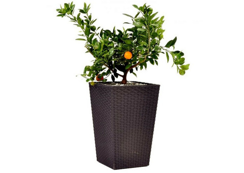 Кашпо для цветов Keter Rattan Planter M 385х385х570 мм Виски коричневый