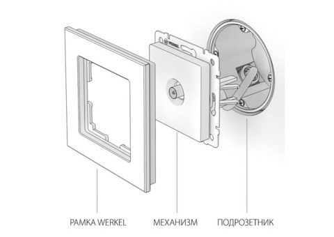 Розетка телевизионная Werkerl Hammer WL02-TV одноместная оконечная Глянцевый никель