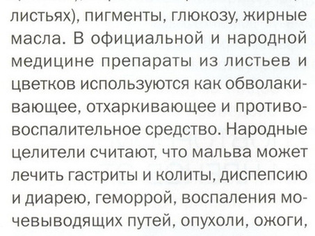 Просвірник кучерявий , просвирник кудрявый , Лохвица, просвирник кудрявый семена купить .