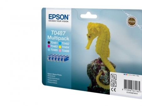 Картридж Epson T0487 комплект (BK,C,M,Y,CL,LM) 6шт (C13T04874010)