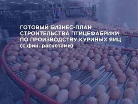 Бизнес-план по разведению птиц с расчетом: можно скачать готовые примеры и продать профессиональные куриные яйца.