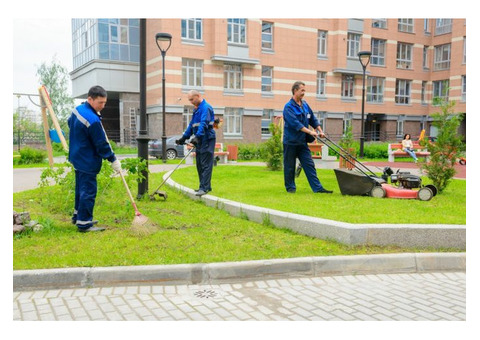 Помощь специалистам, разнорабочие, подсобники, черновая работа.