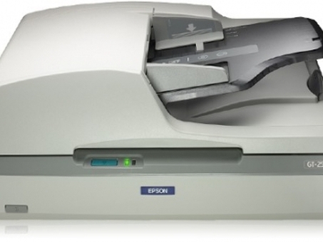 Epson GT-2500 (B11B181021)