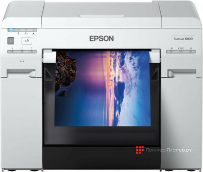 Минифотолаборатория Epson Surelab SL-D800 ML (C11CH75301BE)