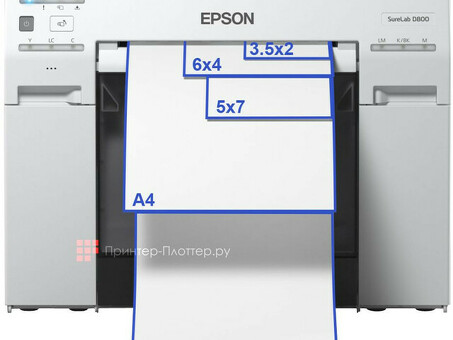 Минифотолаборатория Epson Surelab SL-D800 ML (C11CH75301BE)