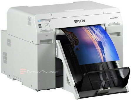 Минифотолаборатория Epson Surelab SL-D800 OC-LE (C11CH75301CL)