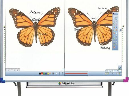 Интерактивная доска Interwrite DualBoard 1289