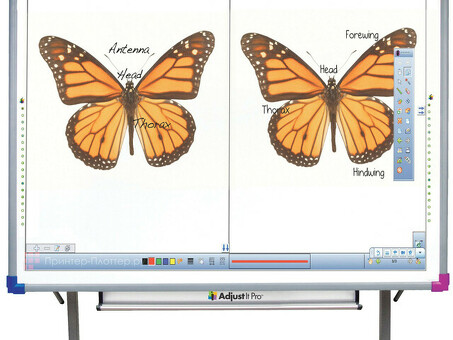 Интерактивная доска Interwrite DualBoard 1279