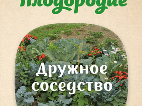 Смесь двойная с фруктовой начинкой 3кг (1кг*3шт) SlaSti 384 Купить оптом у оптовика Сладости, Арбузы, Дыни Планета.