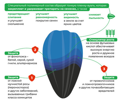 Купить семечки, гибриды подсолнечника, продажа подсолнечника.