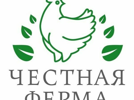 Если вы купите большую часть сыра, пожалуйста, оставьте это.