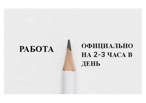 Подработка 2-3 часа в день удалённо.