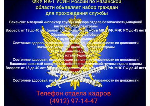 Служба в уис. Социальный пакет, льготная выплата на пенсию. Карьерный рост