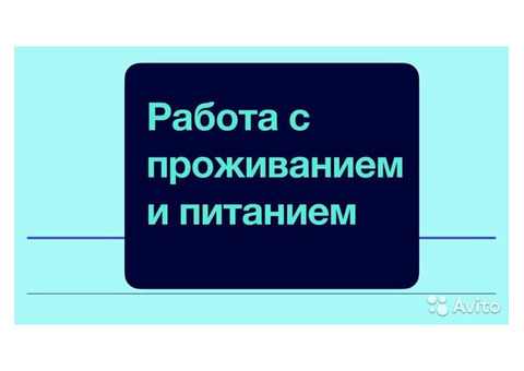 Семейным парам. Вахта. Воронеж. Проживание и питание бесплатно. Ставка повышена.