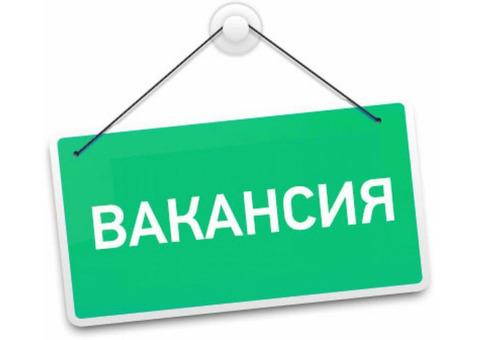 Удаленная работа. Работа в интернете. Работа на дому