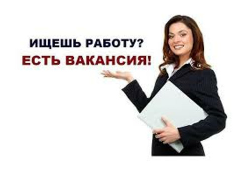 Помощник руководителя ищем, обучим