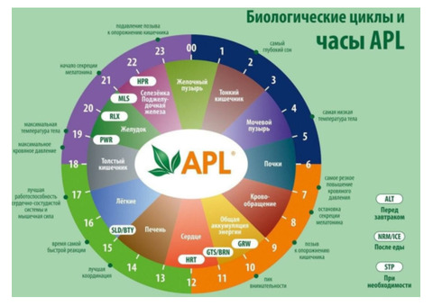 Станьте партнером компании APL и начните зарабатывать от 1000$ ежемесячно!