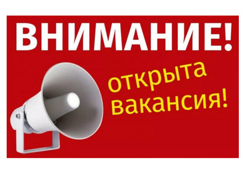 Требуется оператор на удалённую работу, возможно без опыта.