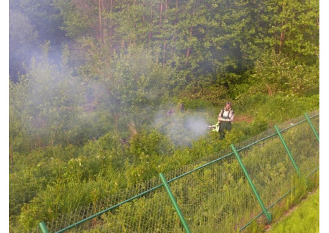 Уничтожение комаров клещей короеда и клопов в городе Бор Нижегородской области