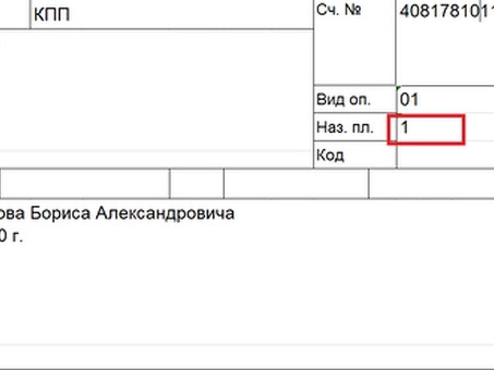 Пример выплаты заработной платы по новым правилам, статья 110 229 ФЗ.