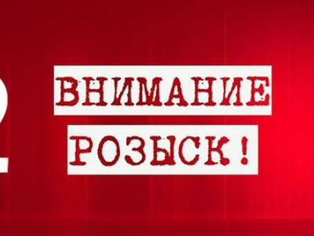 Генпрокурор разъясняет - Прокуратура Владимирской области, МВД заказали розыск сотрудников.