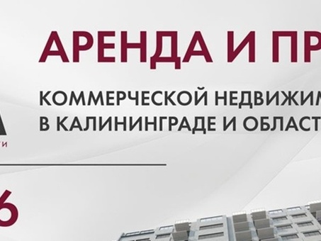 Аренда коммерческой недвижимости в Калининграде: лучшие предложения от риэлторов