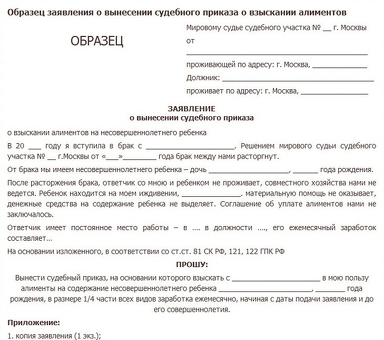 Судебный приказ о взыскании алиментов: что это такое и как его получить?