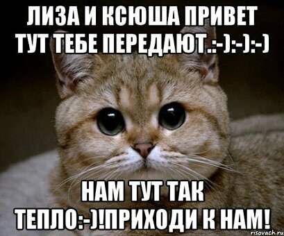 Тепло здесь: Полное руководство по поиску интернета в вашем районе