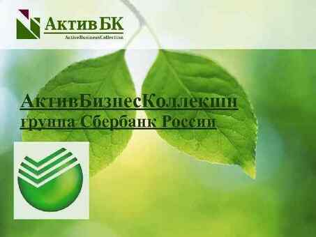 Коллекция Official Active Business Collection