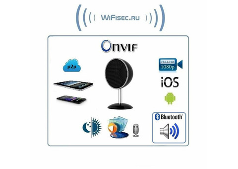 WiFi видеоняня/музыкальная беспроводная колонка, с DVR. Full HD (HDSmartIPC)