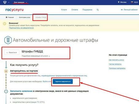 Оплата штрафов за государственные услуги