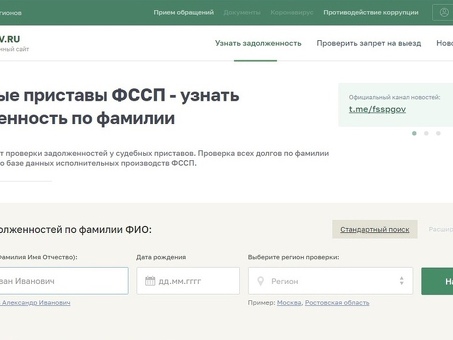Официальный сайт Суда судебных приставов-исполнителей