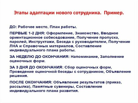 Эффективный набор новых сотрудников: услуги по координации рабочего места