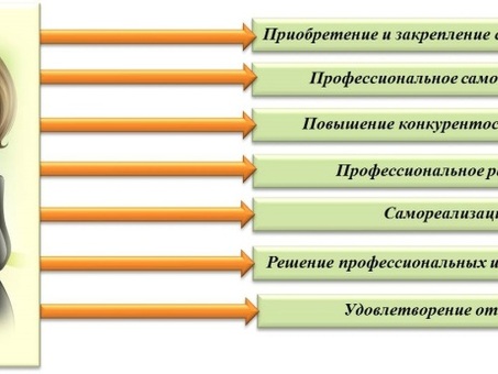 Адаптация молодых специалистов: плавный переход к новой карьере