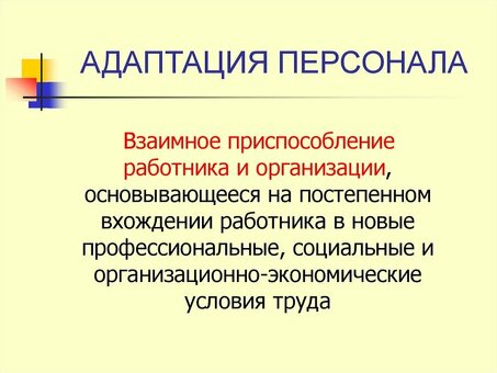 'Интеграция сотрудников: ключ к успешной организационной адаптации'