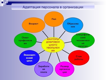 Служба подбора персонала: название компании