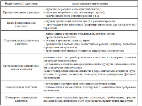 Услуги по подбору сотрудников для вашего бизнеса | Повышение производительности труда