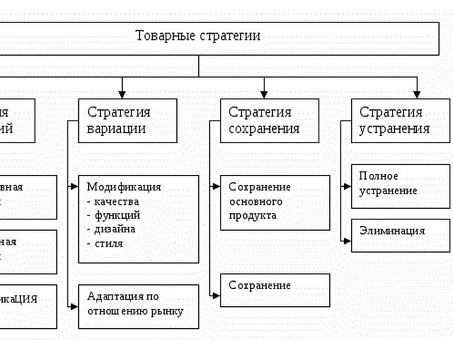 Бизнес-стратегия в маркетинге: максимизация успеха