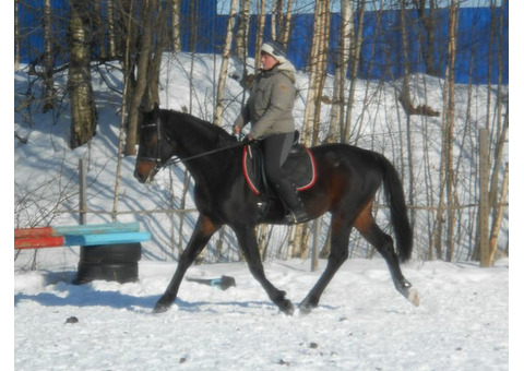 Верховая езда, обучение, прогулки в полях