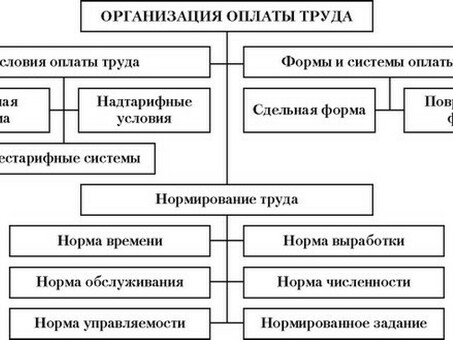 Оптимизация организации труда и расчета заработной платы с помощью наших услуг