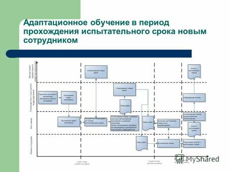 Эффективные системы адаптации персонала: повышение эффективности работы сотрудников